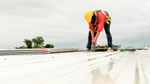 Best Roof Ventilation Installation  in Mayfield Heights, OH