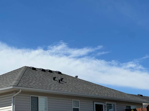 Best Sheet Metal Roofing  in Mayfield Heights, OH